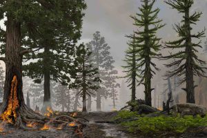 Bosbrand en massa-uitsterving